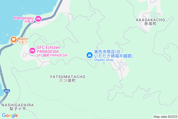 いただき繕 福井越廼