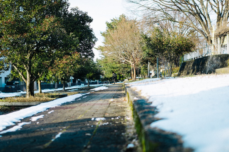 ダルマ自転車がゆく！ 第3回 @双葉公園