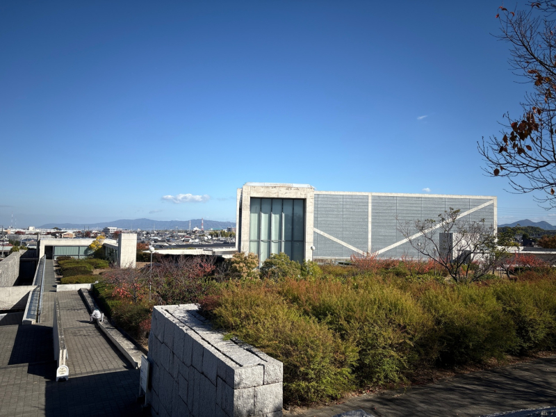 日常にそばにあって欲しい水辺｜狭山池という名のオアシス 