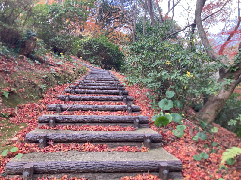 【北九州】キタチャリvol.4『白野江植物公園』紅葉で染まる園内