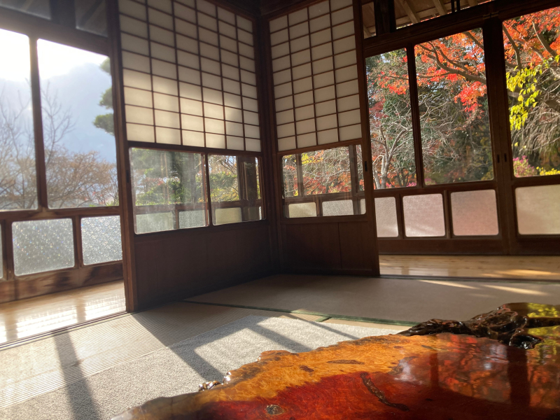 【北九州】キタチャリvol.4『白野江植物公園』紅葉で染まる園内