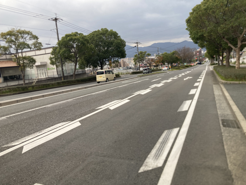 【北九州】キタチャリvol.4『白野江植物公園』紅葉で染まる園内