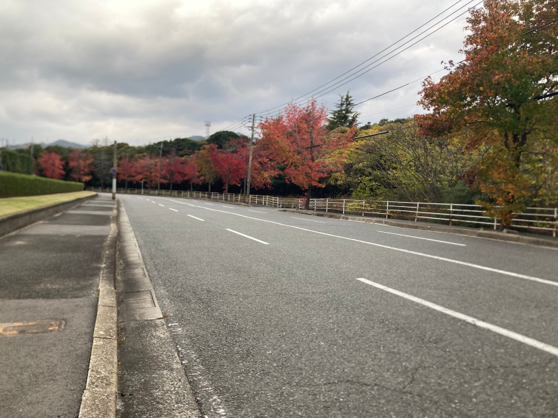 【北九州】キタチャリvol.4『白野江植物公園』紅葉で染まる園内
