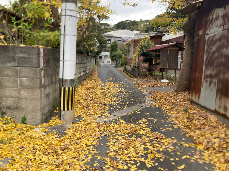 【北九州】キタチャリvol.4『白野江植物公園』紅葉で染まる園内