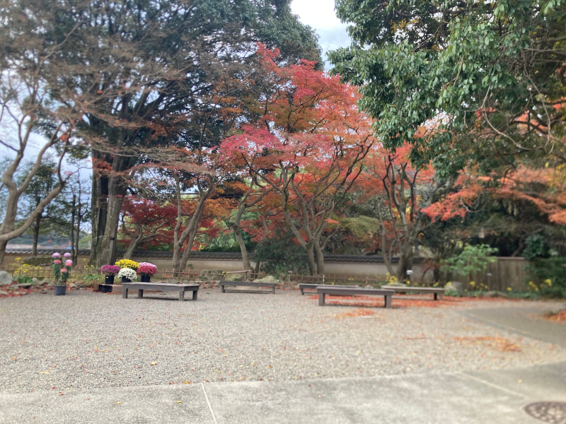 【北九州】キタチャリvol.4『白野江植物公園』紅葉で染まる園内