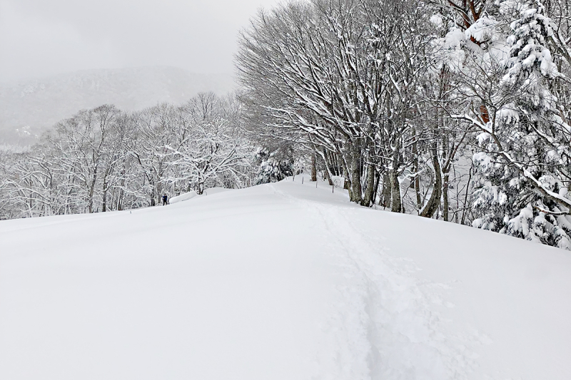 「マイルーツ、マイ山形」#3 冬を越える