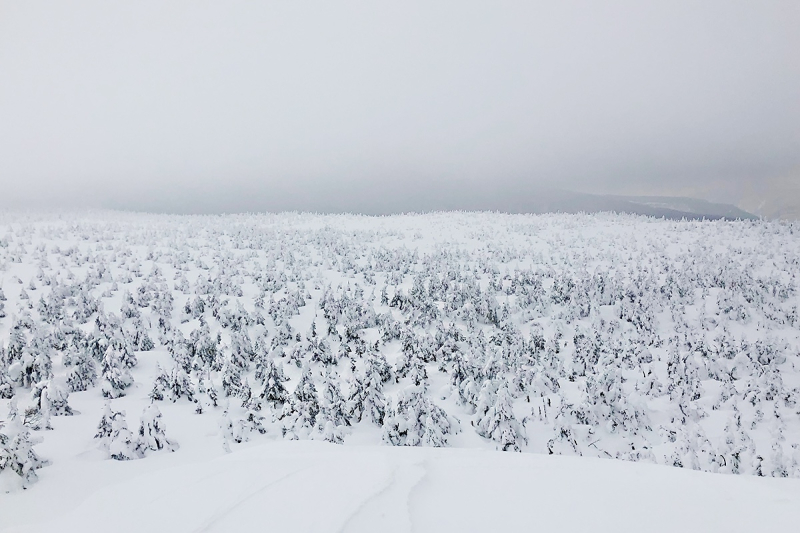 「マイルーツ、マイ山形」#3 冬を越える