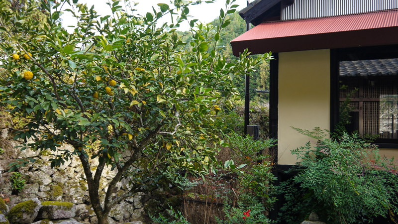 【愛知県・岡崎市】日本酒が生まれる里山へ 神水の「脈」をつむぐ一棟貸しの宿