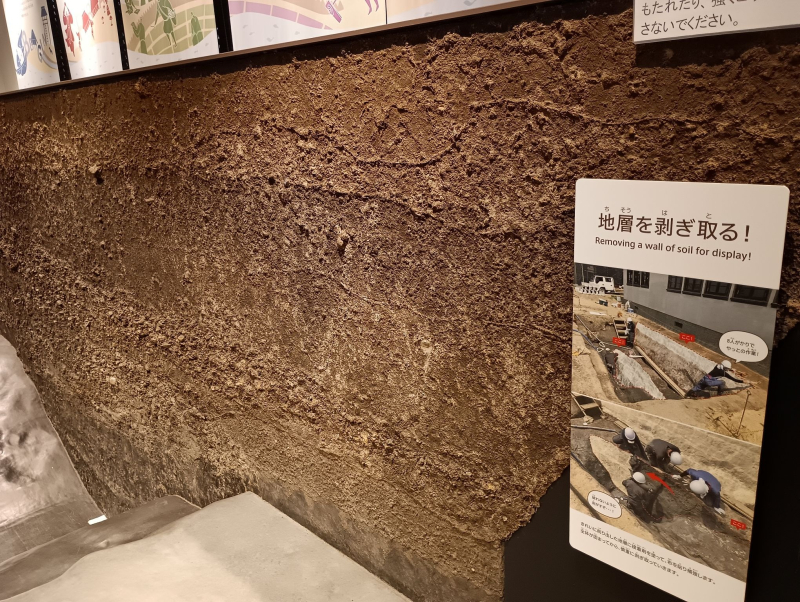 令和人、弥生環濠（かんごう）と昭和建築を楽しむ｜安満（あま）遺跡公園