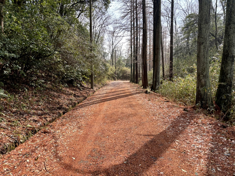 都市でも可能なトレランの世界〜交野山編〜