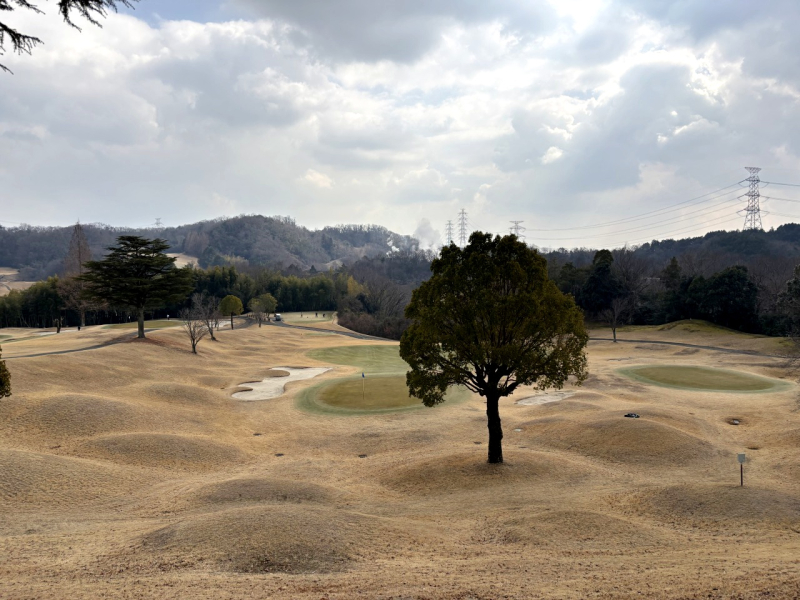 都市でも可能なトレランの世界〜交野山編〜