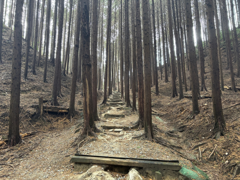 都市でも可能なトレランの世界〜交野山編〜