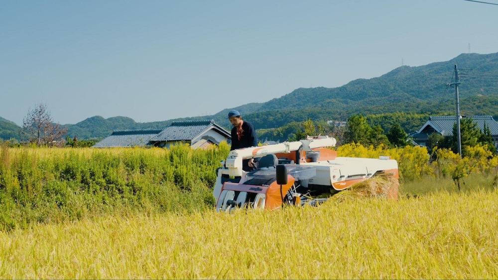神戸【味噌とぼかしをつくるワークショップ】発酵と循環を、身体で感じる一日