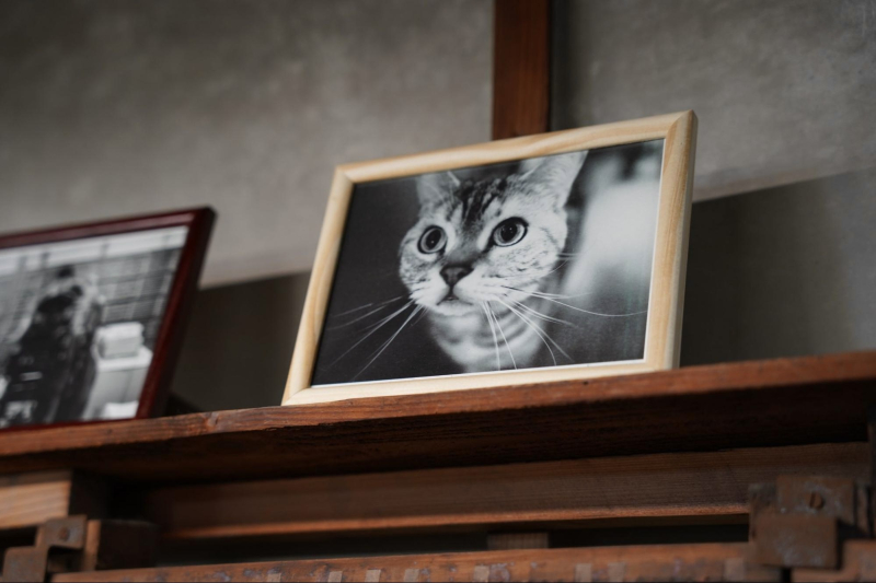 はじまりを刻む活版印刷所「尚榮堂」／金沢まちなかお店探訪