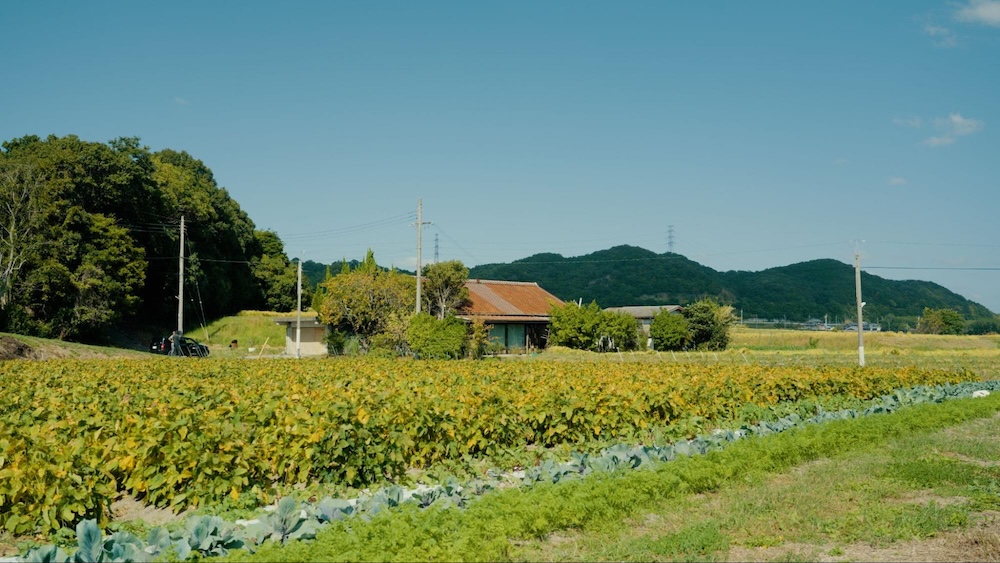 神戸【味噌とぼかしをつくるワークショップ】発酵と循環を、身体で感じる一日