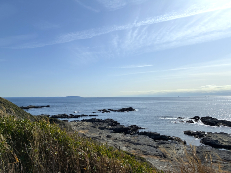 三崎のマグロを世界へ・未来へ!「三崎恵水産」を取材しました