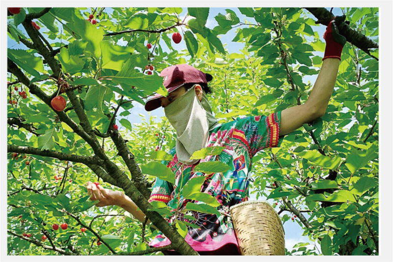 【移住者インタビュー】 人生はDIY。自由に、カラフルに。「世界の雑貨 サポテコ」 通堂拓哉さん