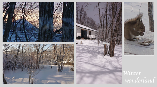 【SALE】北杜市高根町 1LDK+離れ 4600万円 築3年