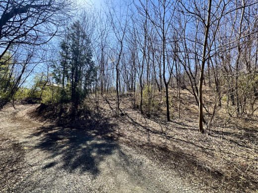 森に家と仕事場を　名峰を望む土地(土地 5,009㎡・2950万円) / 山梨県北杜市長坂町中丸