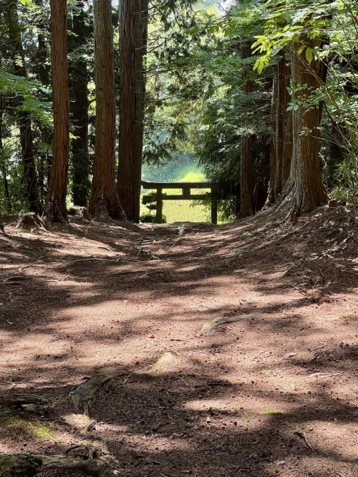 森に家と仕事場を　名峰を望む土地(土地 5,009㎡・2950万円) / 山梨県北杜市長坂町中丸