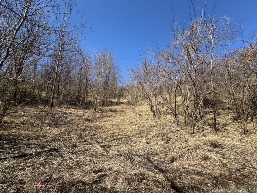 森に家と仕事場を　名峰を望む土地(土地 5,009㎡・2950万円) / 山梨県北杜市長坂町中丸