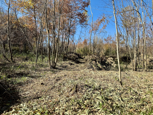 森に家と仕事場を　名峰を望む土地(土地 5,009㎡・2950万円) / 山梨県北杜市長坂町中丸