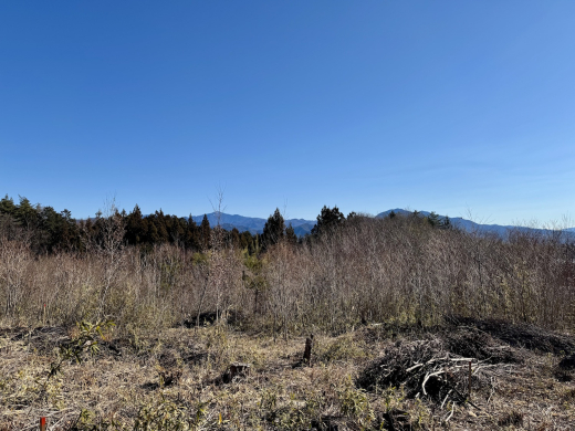 森に家と仕事場を　名峰を望む土地(土地 5,009㎡・2950万円) / 山梨県北杜市長坂町中丸