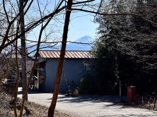 森に家と仕事場を　名峰を望む土地(土地 5,009㎡・2950万円) / 山梨県北杜市長坂町中丸