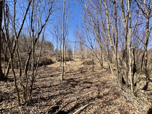 森に家と仕事場を　名峰を望む土地(土地 5,009㎡・2950万円) / 山梨県北杜市長坂町中丸