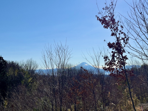 森に家と仕事場を　名峰を望む土地(土地 5,009㎡・2950万円) / 山梨県北杜市長坂町中丸