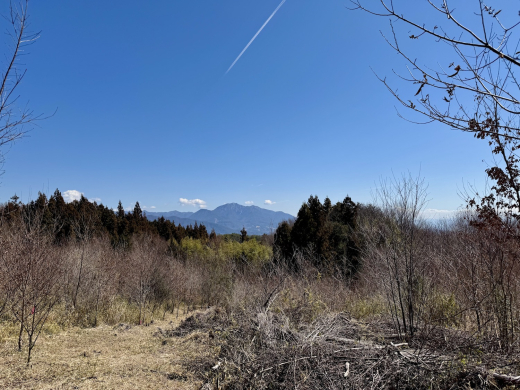森に家と仕事場を　名峰を望む土地(土地 5,009㎡・2950万円) / 山梨県北杜市長坂町中丸