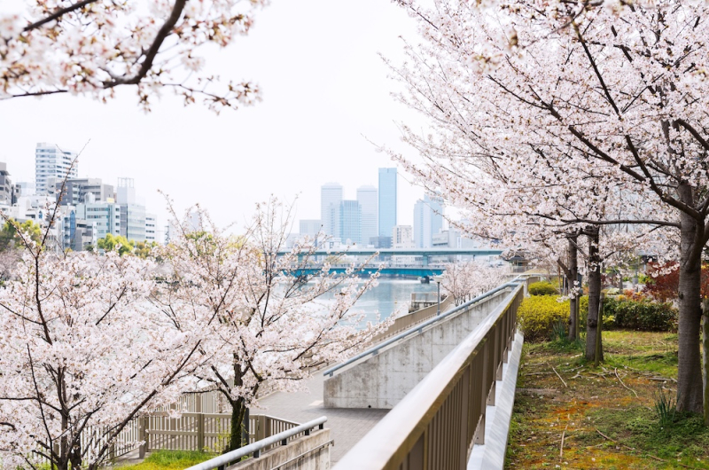 天満天神エリアマップ完成！サーキットイベント｜4/5(sun)