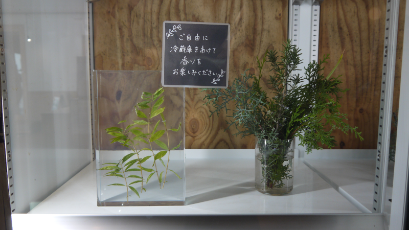 【岐阜県各務原市】ファンに愛される〝ハーブサウナの聖地〟 日本温浴研究所『恵みの湯』