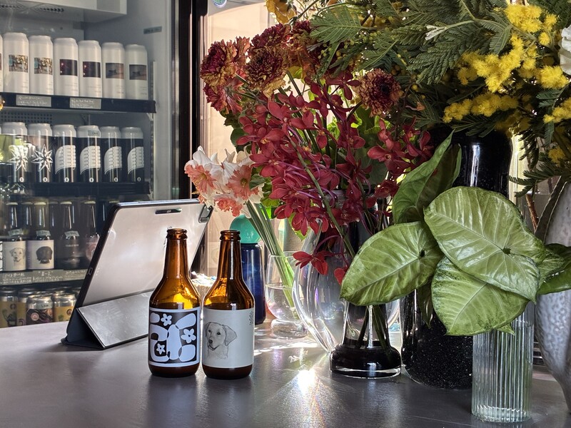 鎌倉市御成町｜小商いの集まりが生み出す新しい価値、「とすいハウス」をめぐる