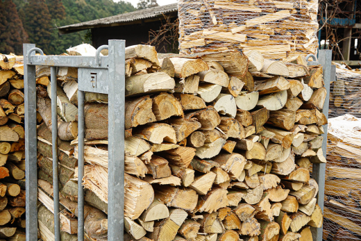 【鹿児島県出水市】地域と森のあいだに立つ存在として、私ができること / 株式会社WOODLIFE 牛浜愛彩さん