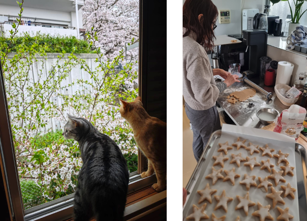 眺望がつないだ東大阪移住|大阪平野を望むフロリアンさんの暮らし