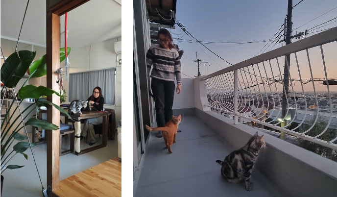 眺望がつないだ東大阪移住|大阪平野を望むフロリアンさんの暮らし