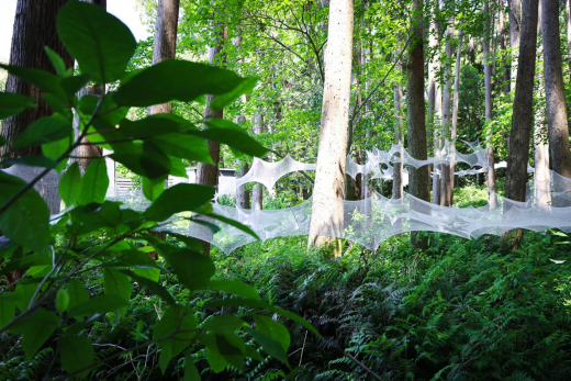 【鹿児島県日置市】美山ビエンナーレ１「目覚めの景色」 アートを支えるボランティア募集 〜