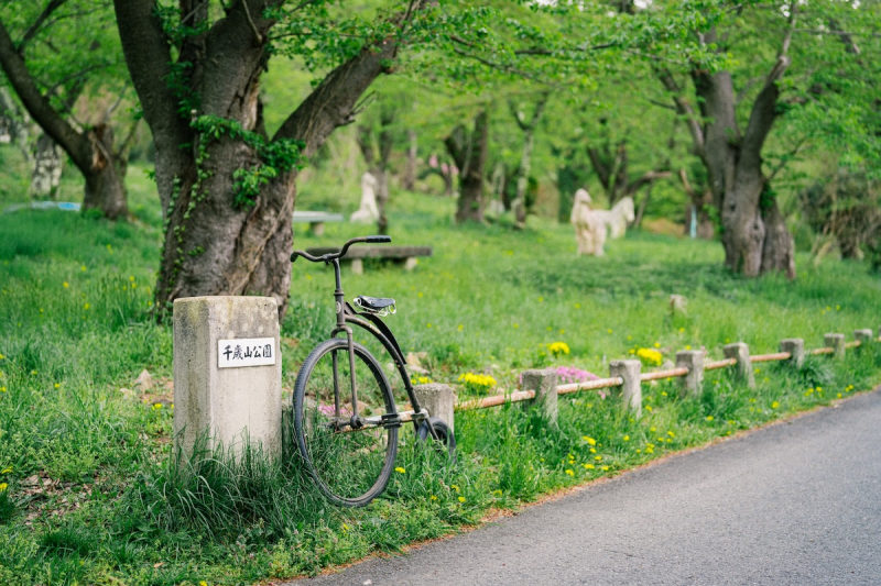 ダルマ自転車がゆく！第6回 @ 千歳山公園