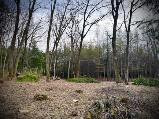 南麓で井戸のある暮らしを考えてみる 土地939.62㎡・482万円/山梨県北杜市高根町