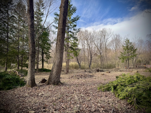 南麓で井戸のある暮らしを考えてみる 土地939.62㎡・482万円/山梨県北杜市高根町