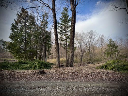 南麓で井戸のある暮らしを考えてみる 土地939.62㎡・482万円/山梨県北杜市高根町