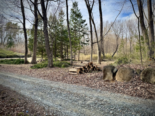 南麓で井戸のある暮らしを考えてみる 土地939.62㎡・482万円/山梨県北杜市高根町