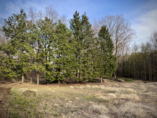 南麓で井戸のある暮らしを考えてみる 土地939.62㎡・482万円/山梨県北杜市高根町