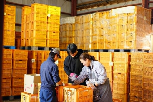 【鹿児島県阿久根市】「地域で働く」を支える仕事。アクネローカルサークルの派遣元責任者を募集!
