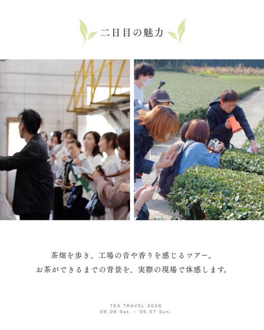 【鹿児島県南九州市】茶人と巡る、鹿児島の茶と日常。「TEA TRAVEL 2026 -初夏-」開催!