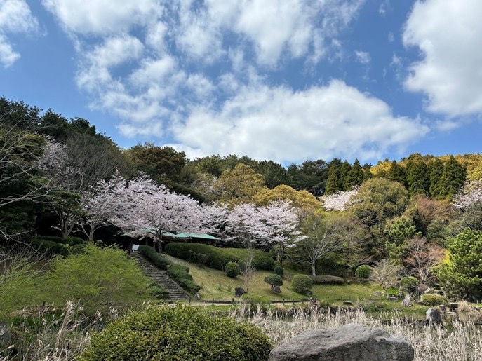 【北九州】キタチャリvol.5『北九州市文化記念公園』桜のきれいな日本を感じられる公園