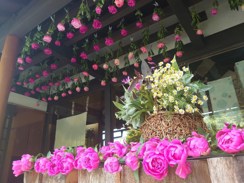 Yamagata Life Diary: Kameya Natural Plant Dye Studio