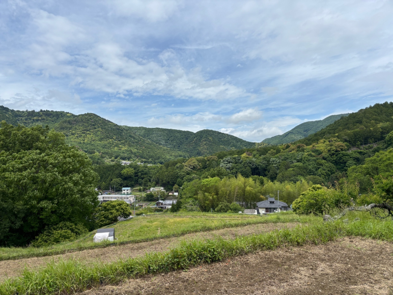トレランの大会に出てみた話〜能勢妙見山編〜