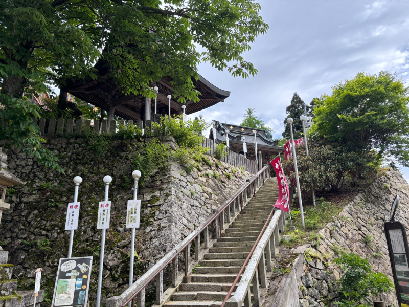 トレランの大会に出てみた話〜能勢妙見山編〜